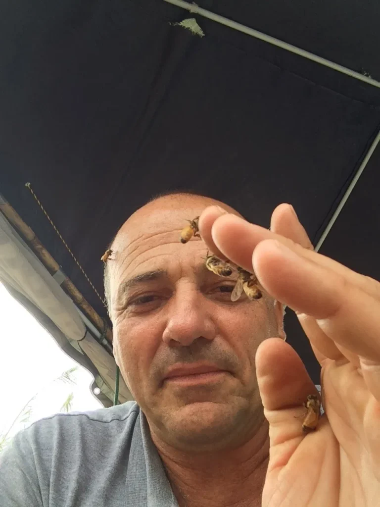 Dolfi Bees 1 97ae71 960 Dolfi with bees walking on his hand