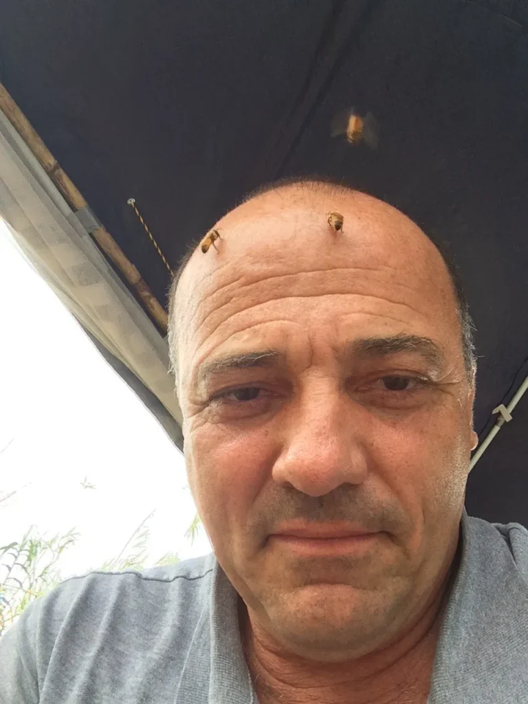 Dolfi Bees 2 8f2540 960 Dolfi with bees resting on his forehead