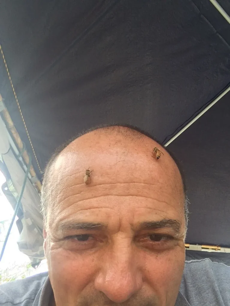 Dolfi Bees 3 A556aa 960 Dolfi at the hives with a bee on his forehead